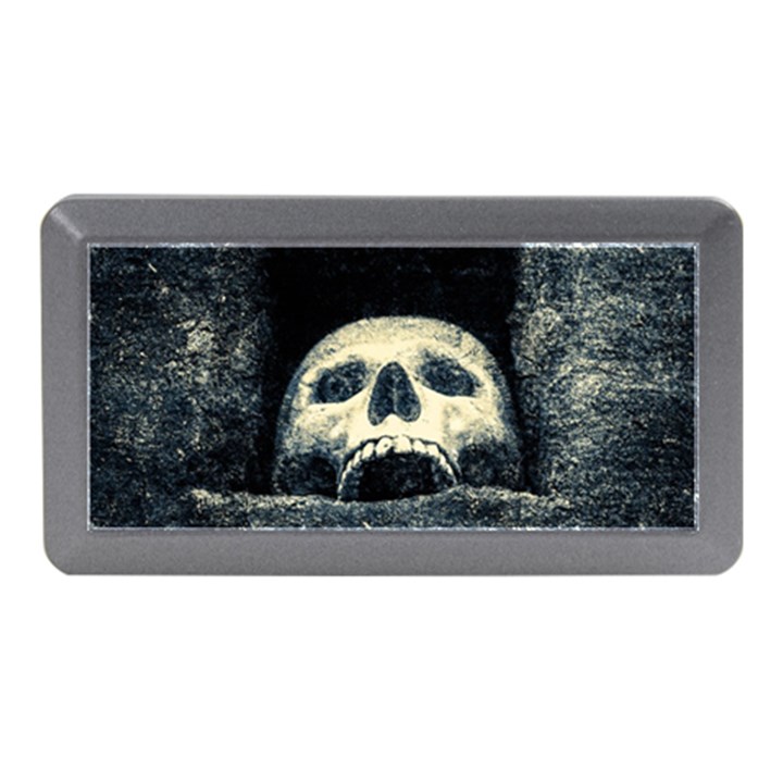 Smiling Skull Memory Card Reader (Mini)