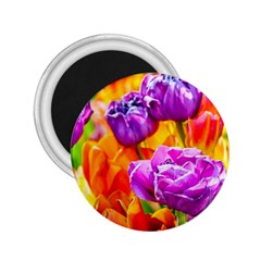 Tulip Flowers 2 25  Magnets by FunnyCow