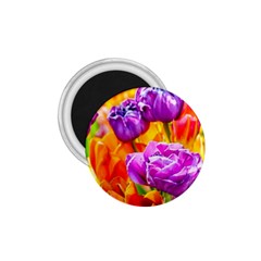 Tulip Flowers 1 75  Magnets by FunnyCow