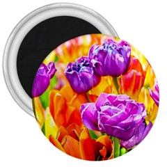 Tulip Flowers 3  Magnets by FunnyCow