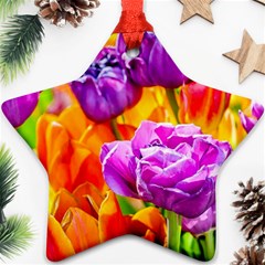 Tulip Flowers Ornament (star) by FunnyCow