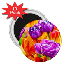 Tulip Flowers 2 25  Magnets (10 Pack)  by FunnyCow