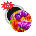 Tulip Flowers 2.25  Magnets (10 pack)  Front