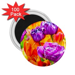 Tulip Flowers 2 25  Magnets (100 Pack)  by FunnyCow