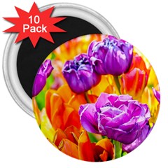 Tulip Flowers 3  Magnets (10 Pack)  by FunnyCow