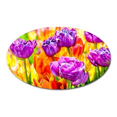 Tulip Flowers Oval Magnet by FunnyCow