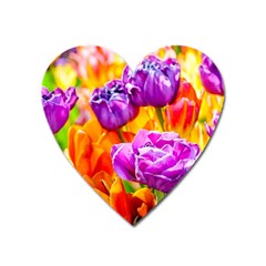 Tulip Flowers Heart Magnet by FunnyCow