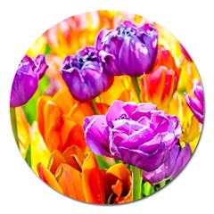 Tulip Flowers Magnet 5  (round) by FunnyCow