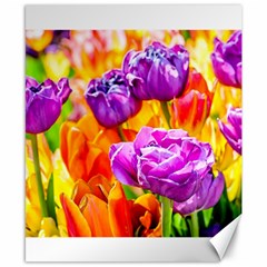 Tulip Flowers Canvas 8  X 10  by FunnyCow