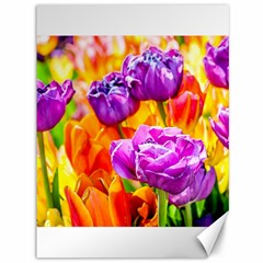 Tulip Flowers Canvas 36  X 48   by FunnyCow