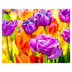 Tulip Flowers Double Sided Flano Blanket (medium)  by FunnyCow