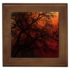 Sunset Silhouette Winter Tree Framed Tile