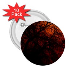 Sunset Silhouette Winter Tree 2 25  Button (10 Pack)