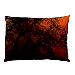 Sunset Silhouette Winter Tree Pillow Case