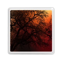 Sunset Silhouette Winter Tree Memory Card Reader (square)