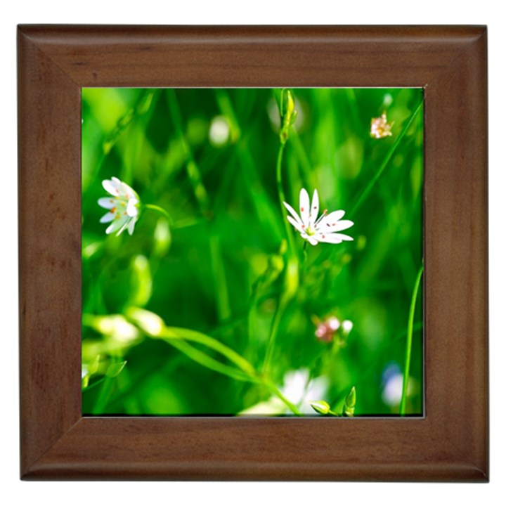 Inside The Grass Framed Tiles