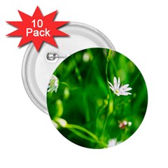 Inside The Grass 2 25  Buttons (10 Pack) 