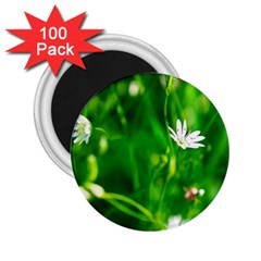 Inside The Grass 2 25  Magnets (100 Pack)  by FunnyCow