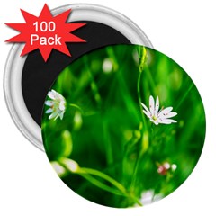 Inside The Grass 3  Magnets (100 Pack)