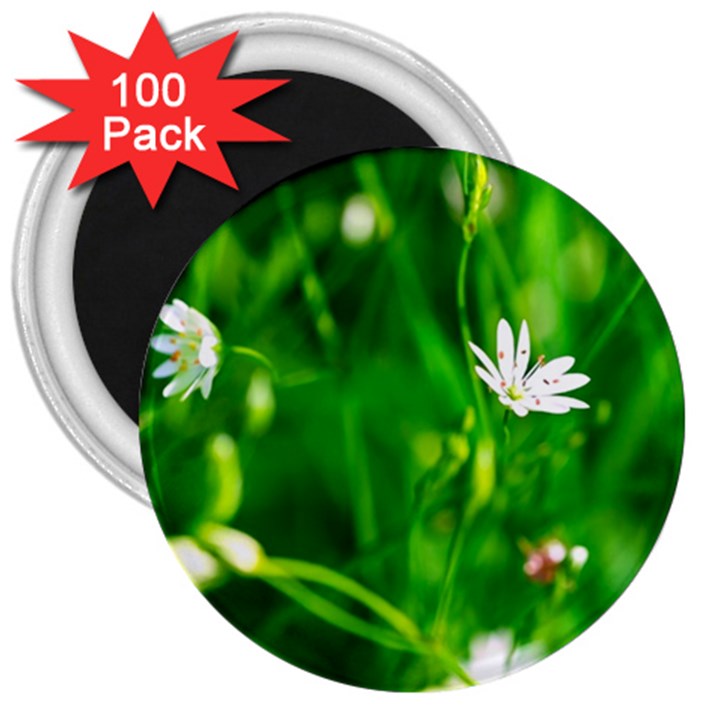 Inside The Grass 3  Magnets (100 pack)