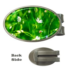 Inside The Grass Money Clips (oval) 