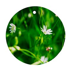 Inside The Grass Round Ornament (two Sides)