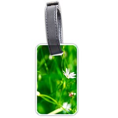 Inside The Grass Luggage Tags (one Side) 