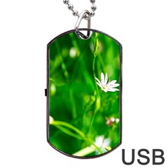 Inside The Grass Dog Tag Usb Flash (two Sides)