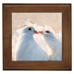 Doves In Love Framed Tiles by FunnyCow