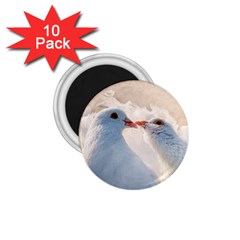 Doves In Love 1 75  Magnets (10 Pack)  by FunnyCow