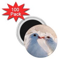 Doves In Love 1 75  Magnets (100 Pack)  by FunnyCow