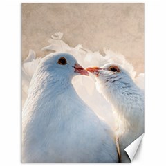 Doves In Love Canvas 12  X 16   by FunnyCow