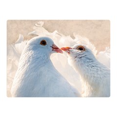 Doves In Love Double Sided Flano Blanket (mini)  by FunnyCow