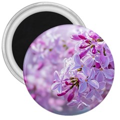 Pink Lilac Flowers 3  Magnets by FunnyCow