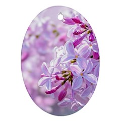 Pink Lilac Flowers Ornament (oval) by FunnyCow