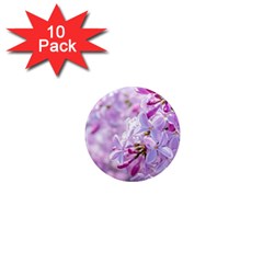 Pink Lilac Flowers 1  Mini Magnet (10 Pack)  by FunnyCow