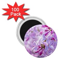 Pink Lilac Flowers 1 75  Magnets (100 Pack)  by FunnyCow