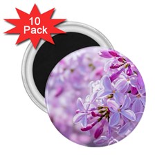 Pink Lilac Flowers 2 25  Magnets (10 Pack)  by FunnyCow