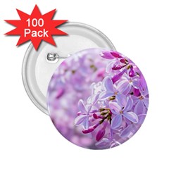 Pink Lilac Flowers 2 25  Buttons (100 Pack)  by FunnyCow