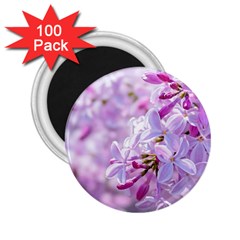 Pink Lilac Flowers 2 25  Magnets (100 Pack)  by FunnyCow