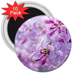 Pink Lilac Flowers 3  Magnets (10 Pack)  by FunnyCow