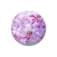 Pink Lilac Flowers Magnet 3  (round) by FunnyCow