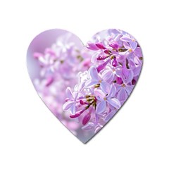 Pink Lilac Flowers Heart Magnet by FunnyCow