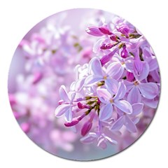 Pink Lilac Flowers Magnet 5  (round) by FunnyCow