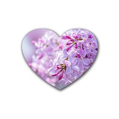 Pink Lilac Flowers Rubber Coaster (heart)  by FunnyCow