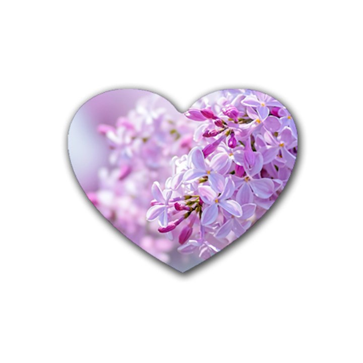 Pink Lilac Flowers Heart Coaster (4 pack) 