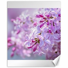 Pink Lilac Flowers Canvas 11  X 14   by FunnyCow