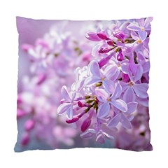 Pink Lilac Flowers Standard Cushion Case (one Side) by FunnyCow