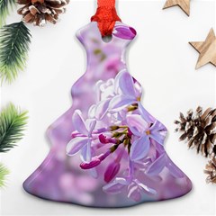 Pink Lilac Flowers Ornament (christmas Tree)  by FunnyCow