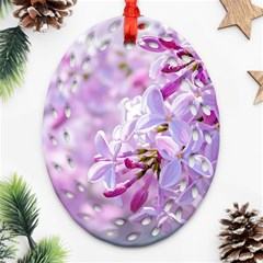 Pink Lilac Flowers Oval Filigree Ornament (two Sides) by FunnyCow